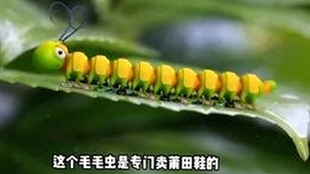 龚俊揭秘娱乐圈幕后真相：吃瓜鹅带你深入了解明星生活